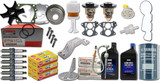 Yamaha VZ200TLR VZ200TLRB VZ200TLRA  VZ200TLRC Maintenance Kit Fuel Filter Gear Lube Water Pump Rebuild Trim VST Filter Gasket in-Line Trim Tab Anode Lower Unit Gear Lube & Gaskets Spark Plugs Power Trim Fluid