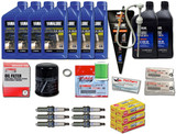 YAMAHA OEM 2010+ F250CA 4.2L V6 Oil Change 10W30 FC 4M Lower Unit Gear Lube Drain Fill Gaskets NGK Spark Plugs LFR6A-11 Fuel Filter Maintenance Kit