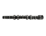 Riva Sea-Doo 300/260/255/230/215 Racing Camshaft RS19140-BCS