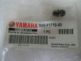 Yamaha Rhino 450 660 YXR OEM Battery Cover Box Lid with 2 Rivets (1) 5UG-H2129-10-00 & (2) 5UG-F171S-00-00)