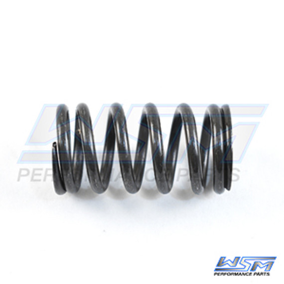 WSM Valve Spring, Intake / Exhaust for 1800 / 1900 2008-2024 6S5-12113-00-00 010-033-01