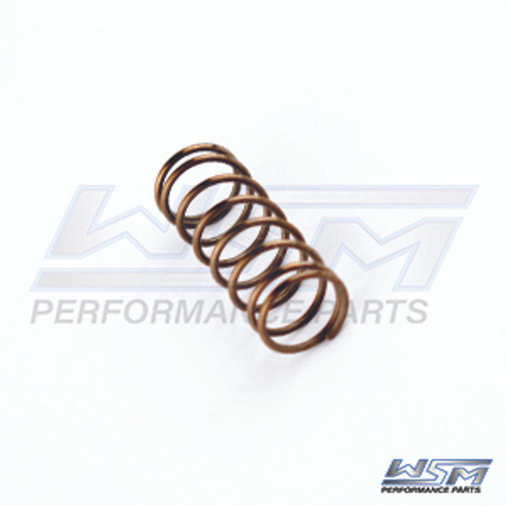 WSM Power Valve Spring for Sea-Doo 951 DI 2000-2007 290939130, 420939130 010-034