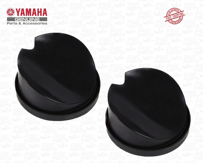 YAMAHA 2017+ AR250 SX220 255 252 250 240 242 Limited S SX210 AR230 SX230 Clean Out Plug Repair Kit Pump SET OF 2x F3F-67609-09-00