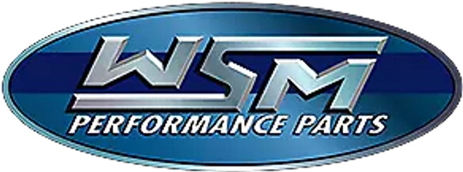 WSM Water Pump Kit Complete for Yamaha 225 - 300 HP 2006-2017 6P2-W0078-00-00 750-437