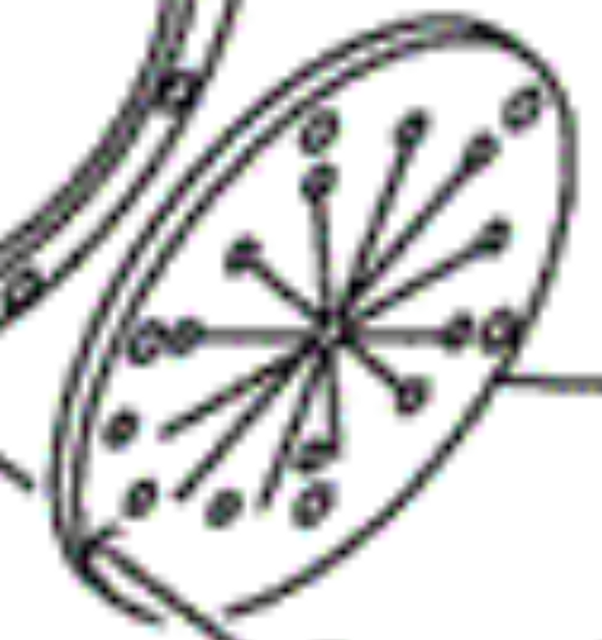 YAMAHA OEM Exhaust Valve F1B-U751G-10-00