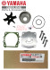 YAMAHA OEM F150/F200 Outboard Water Pump Kit 61A-W0078-A4-00 61A-44311-01 Seal C