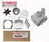 YAMAHA OEM F150/F200/F225 Outboard Water Pump Kit 61A-W0078-A4-00 61A-44311-01-00
