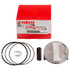 YAMAHA OEM 4-Stroke Piston Kit WR250F YZ250F YZ250FX 2019-2025 B7B-116A0-00-00