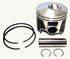 WSM Piston Kit for Johnson / Evinrude 200 - 250 HP 3.3L E-Tec 2004-2014 Port .030 Over 100-136-06PK