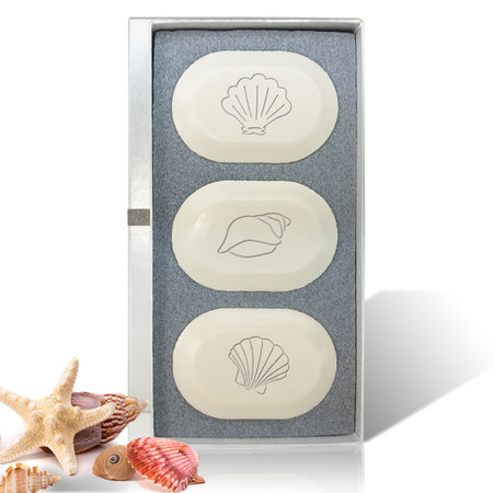 Eco-Luxury Trio - Seashells
