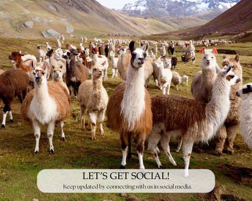 Stay in the loop with Spirit of the Andes  by connecting with us on social media! 