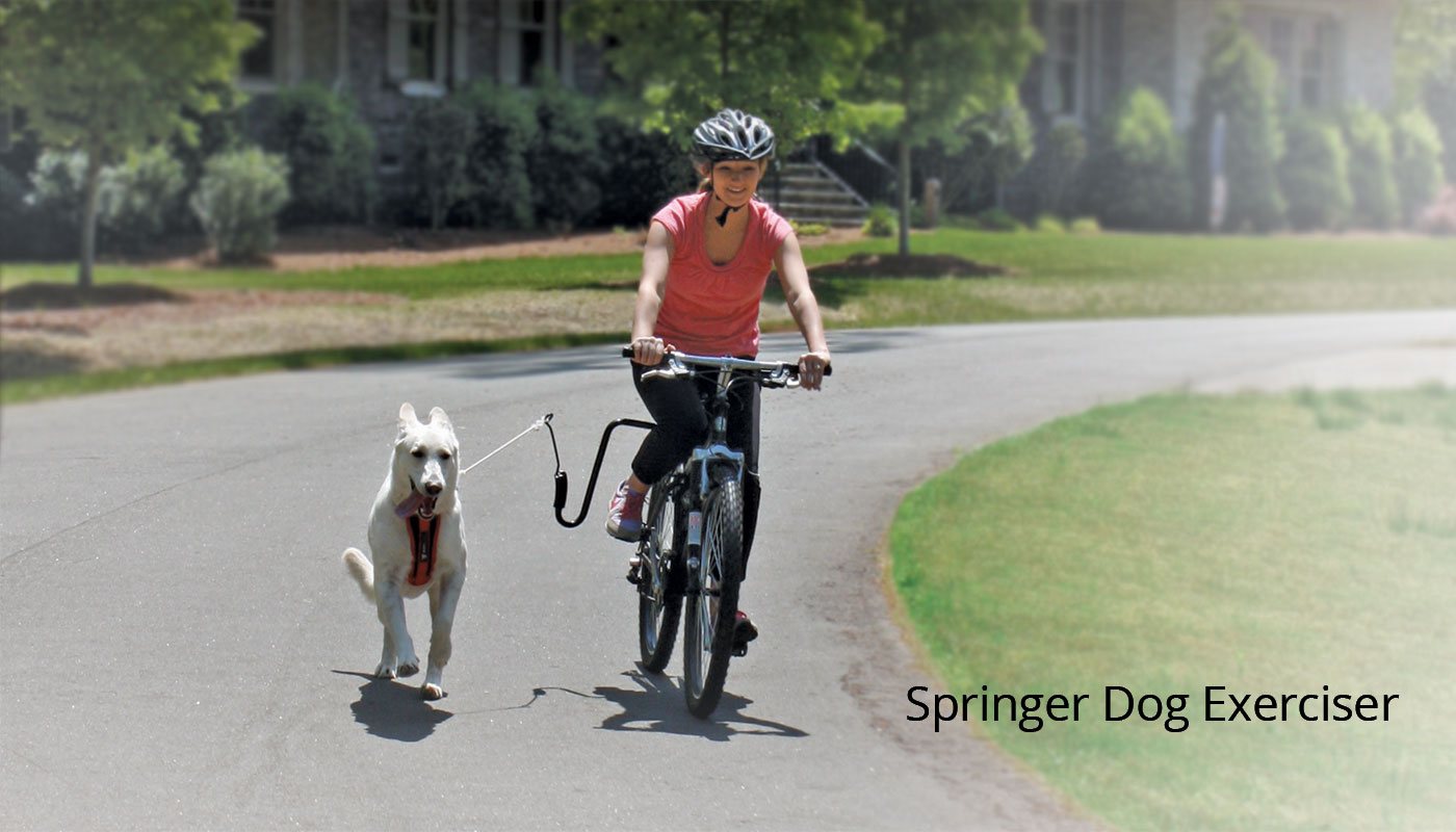 springer bicycle