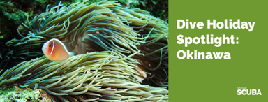 Dive Holiday Spotlight - Okinawa, Japan