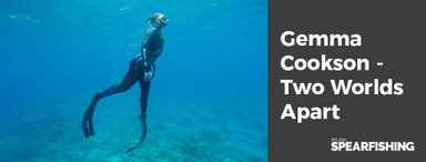 NZ Depth Nationals + Inter Pacific Spearfishing Champs