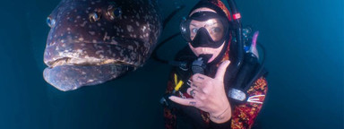 Epsealon Scorpion Wetsuit Review