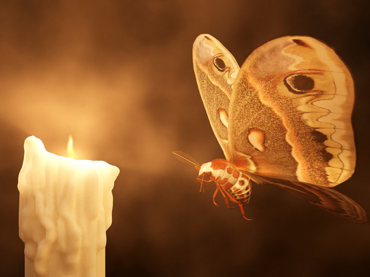 As a Moth into the Flame by SICK_tragedy -- Fur Affinity [dot] net