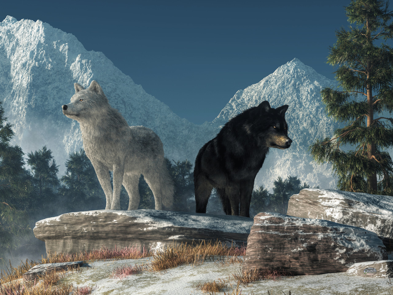black arctic wolves