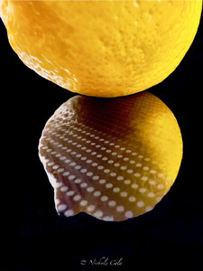 Love Affair with a Lemon I