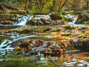 Autumn Whispers at Middle Prong