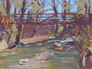 Taking in the Light - Richland Creek Greenway