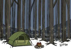 Camping Among the Tall Trees and Fireflies