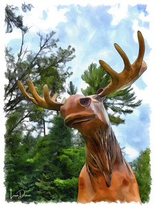 Minnesota Moose