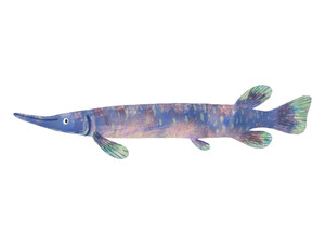 Lavender Gar Fish