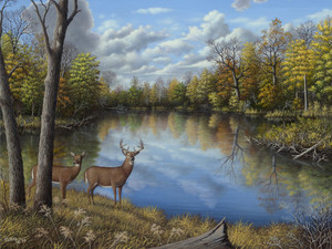 Autumn Along the Wildcat