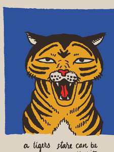 Tigers Stare