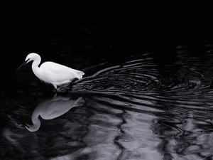 Searching​​​​