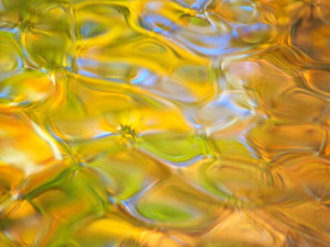 Autumn's Rippling Dance III
