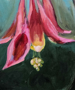 Bloom​​​​​​​​​​​​​​​​​​​