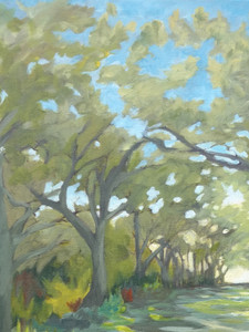 Avenue of Oaks​