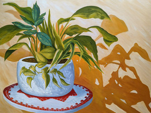 Corner Shadows