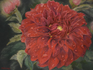 Dewy Dahlia