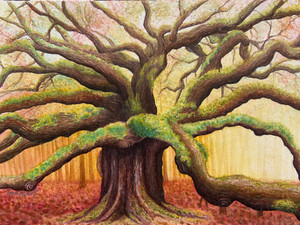 ANGEL OAK​​