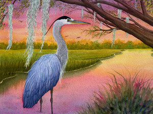 Lowcountry Marsh