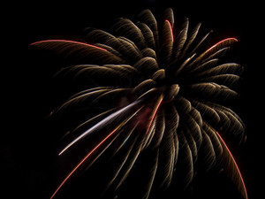 Colorful Fireworks Burst