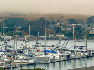 Bodega Bay Marina