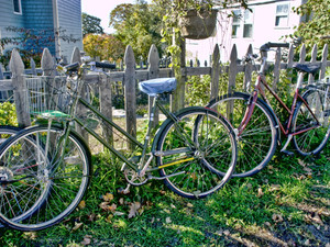 Bikes Lined up Against a Fence