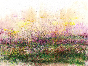 Abundant Land