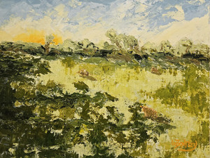 Sunny Pasture