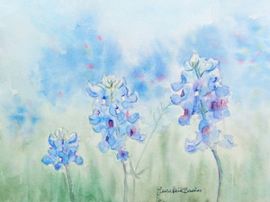 Bluebonnets​