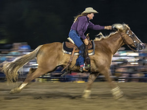 Horse and rider in motion