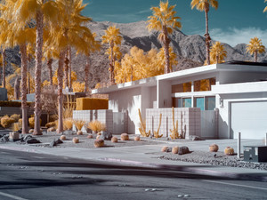 Anthropocene Gardens