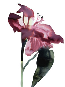 Abstract Floral No. 9