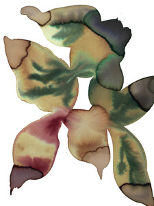 Abstract Leaves​​