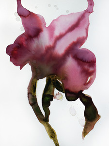 Abstract Floral No. 11
