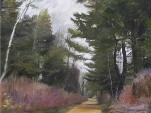 Woods​​​​