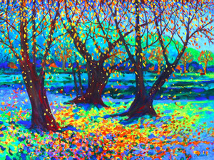 Afternoon at the Arboretum #1